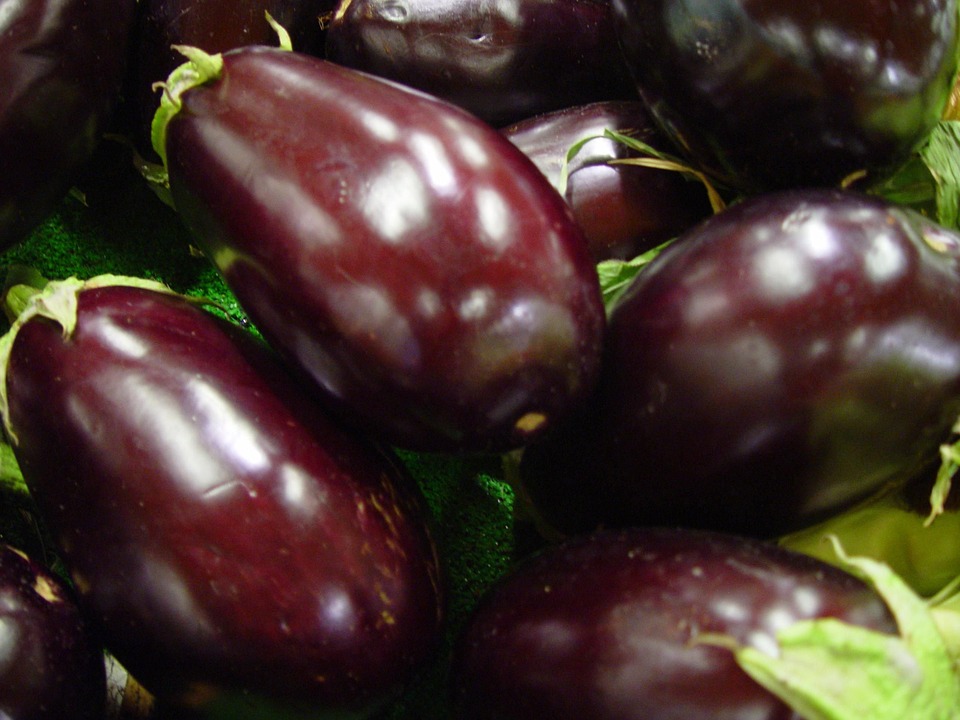 eggplant-671910_960_720