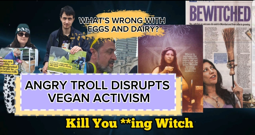 Is Being Vegetarian Good Enough?