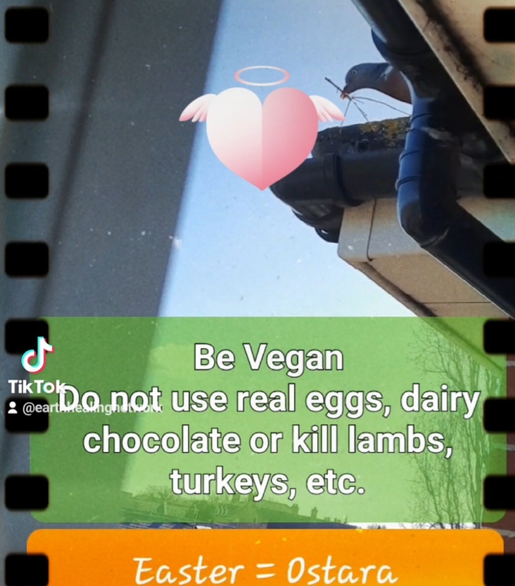 The Vegan Symbolism of Easter&nbsp;Eggs