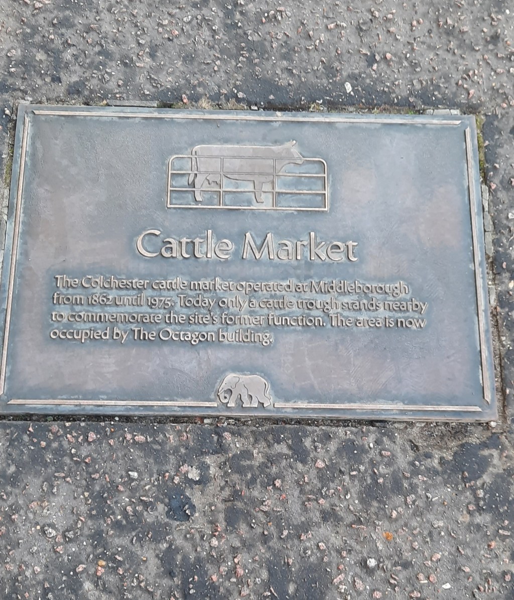 HORRIBLE HISTORIES Continue on Uninhindered in&nbsp;Private