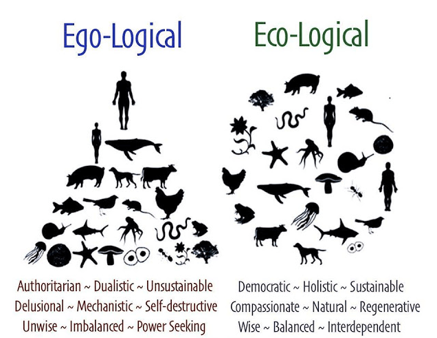 Ego-logical_VS_Eco-logical