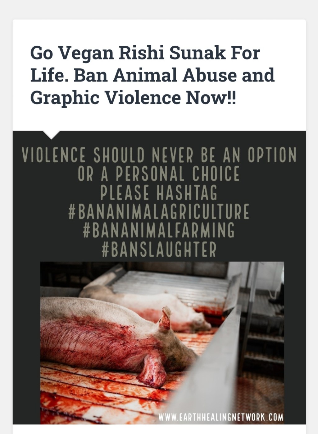 Animal Rebellion Advises PM Rishi&nbsp;Sunak