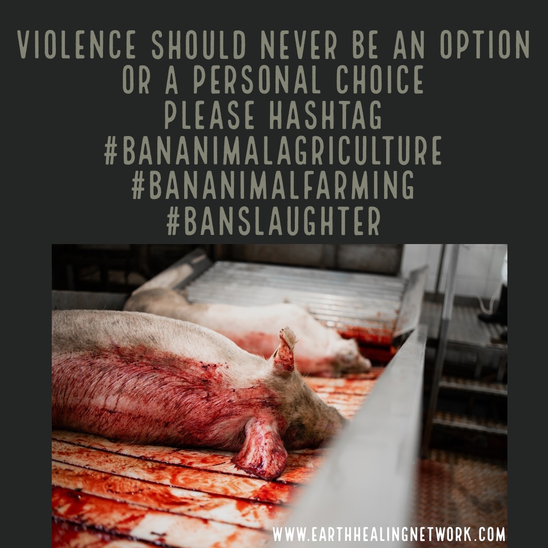 Go Vegan Rishi Sunak For Life. Ban Animal Abuse and Graphic Violence Now!!