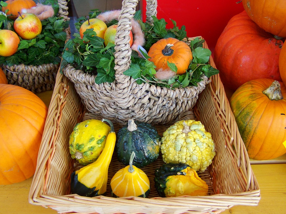 colorful-pumpkins-959509_960_720