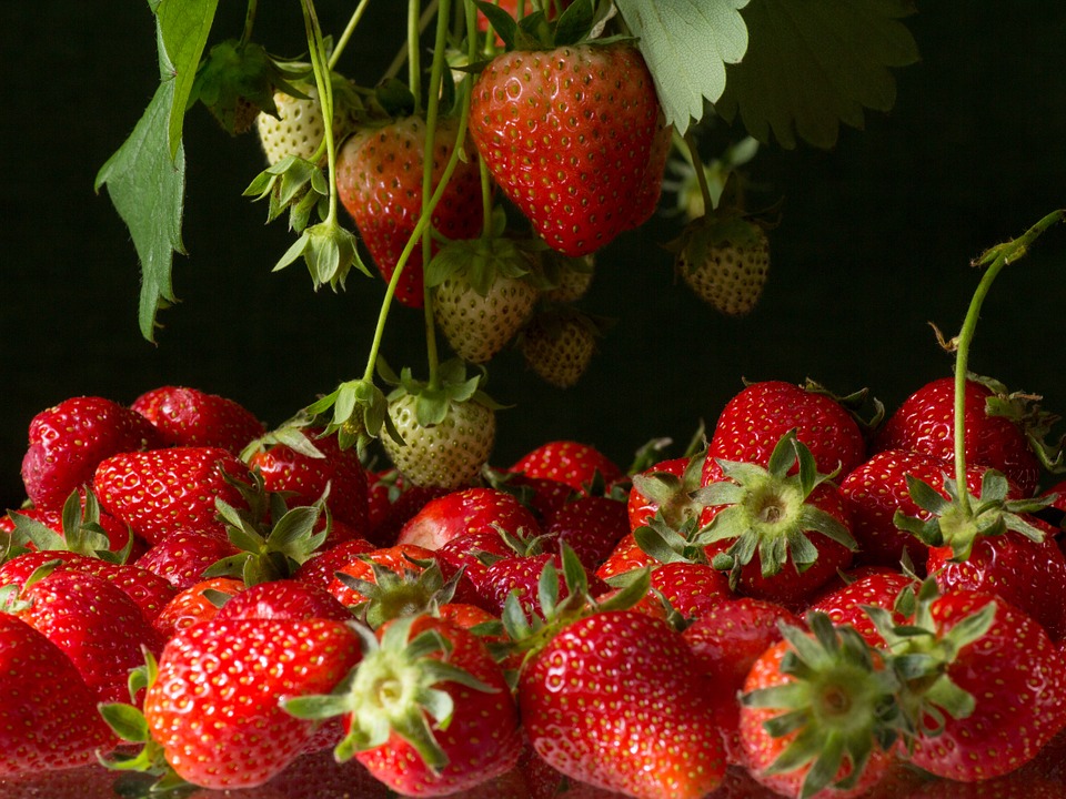 strawberries-764708_960_720
