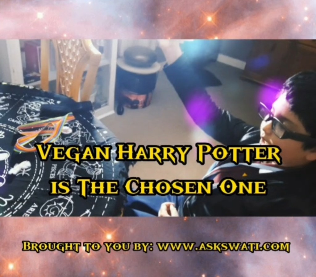 Amazing Vegan Harry Potter&nbsp;Spoof!